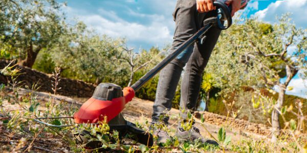 Picking The Best Brush Cutter