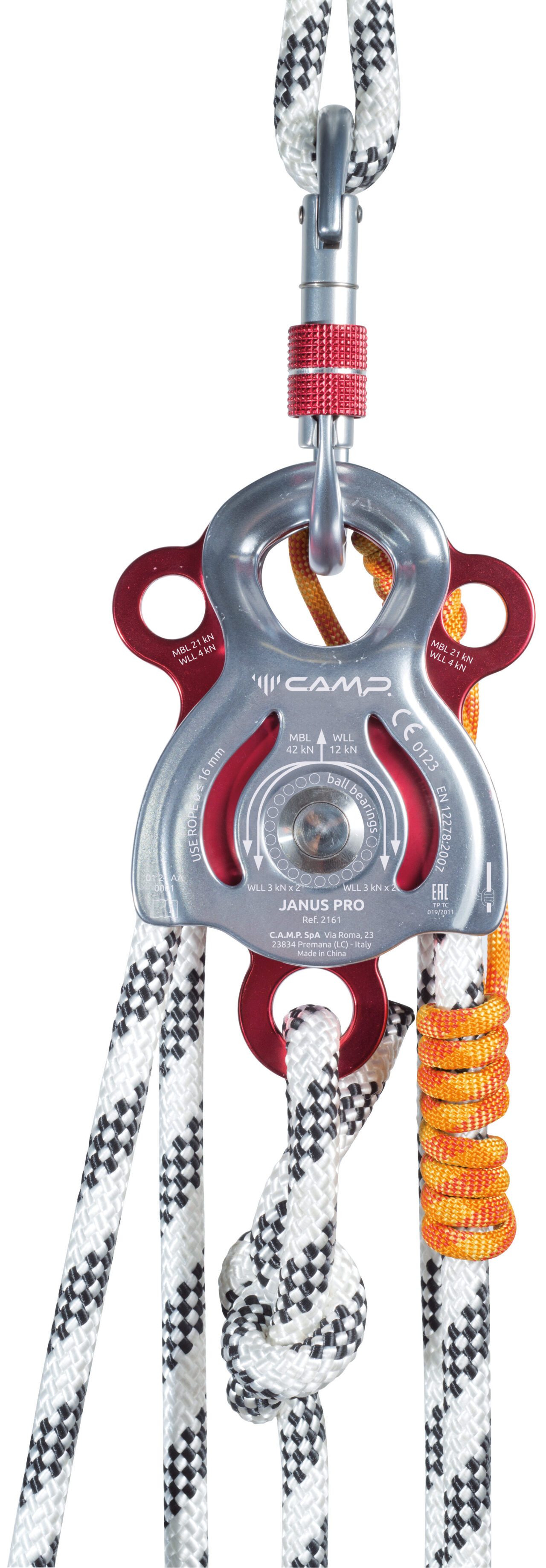 JANUS PRO - Image 3