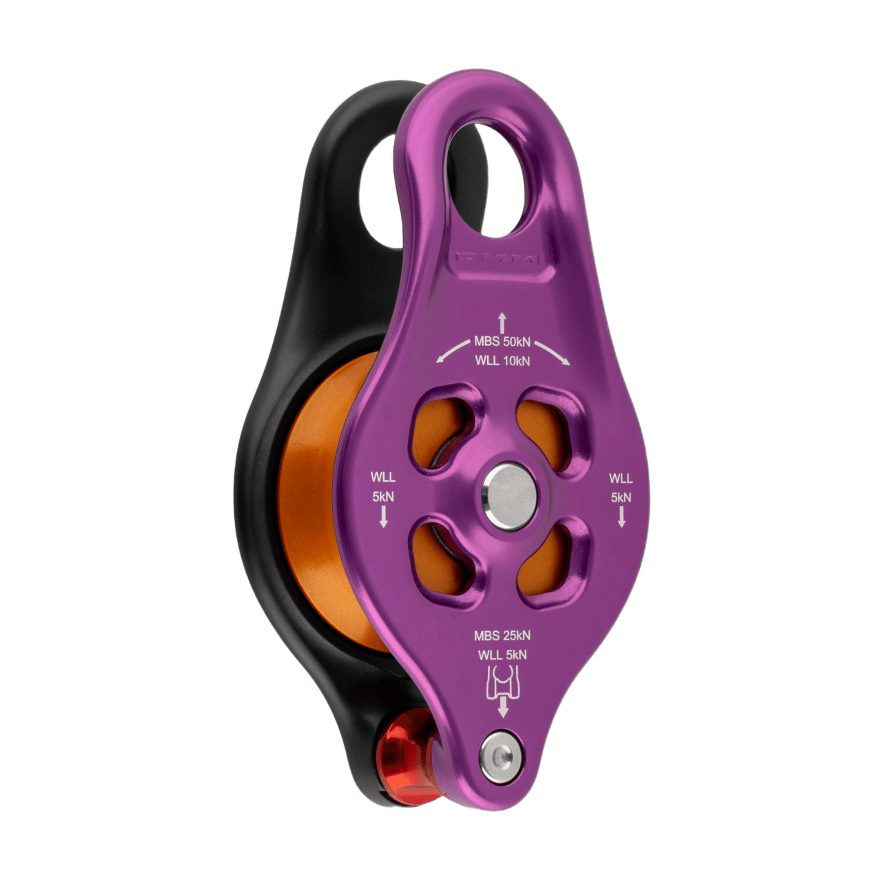 Pinto 2 - Image 3