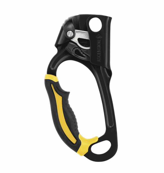 PETZL ASCENSION