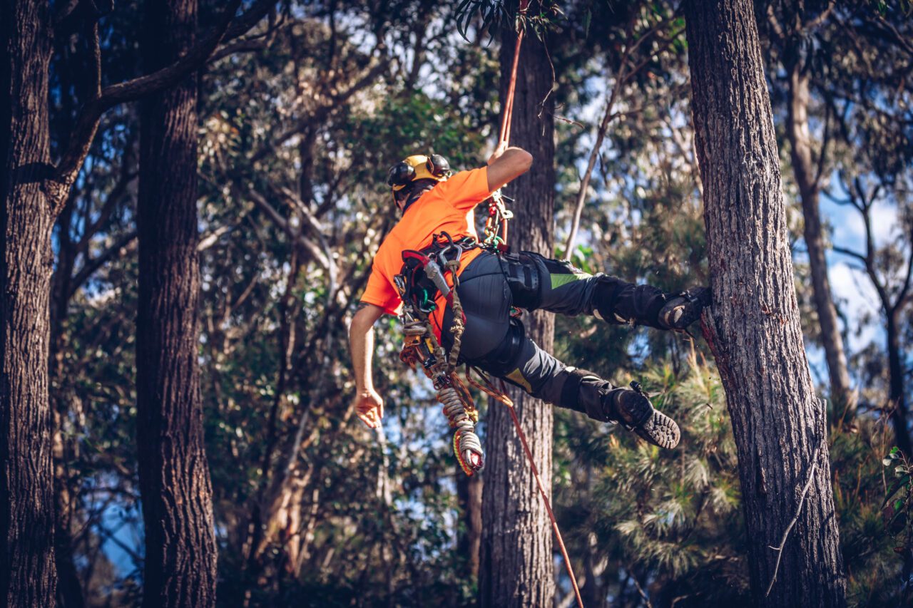 Clogger Zero Gen2 Light and Cool Men's Arborist UL Chainsaw Pants - Image 6