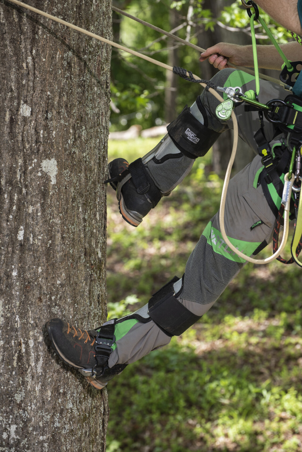 Notch Gecko® Aluminum 2.0 Climbers - Image 7