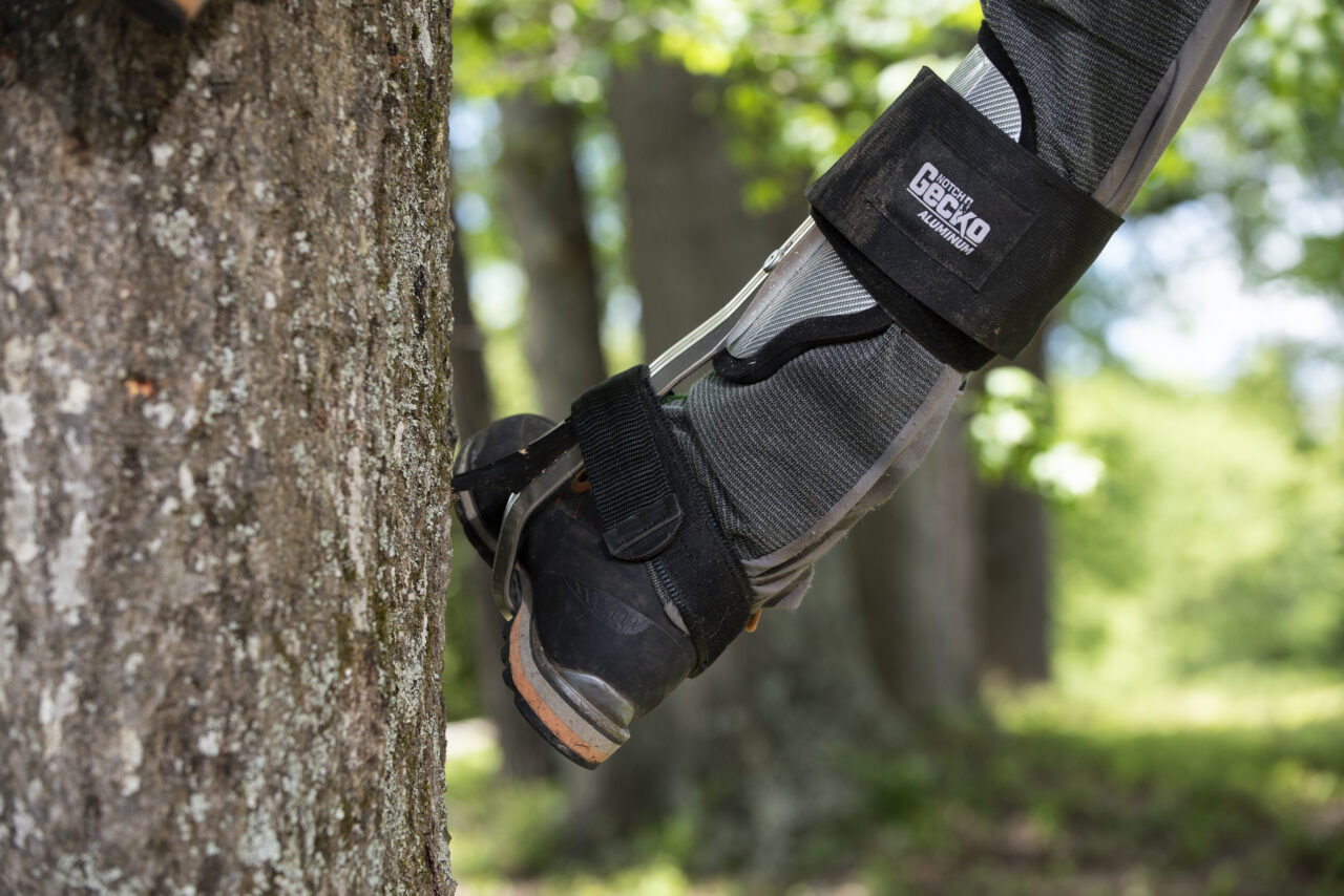 Notch Gecko® Aluminum 2.0 Climbers - Image 6