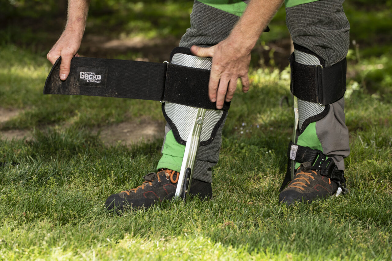 Notch Gecko® Quick Connect Lower Climber Straps (pair) - Image 4