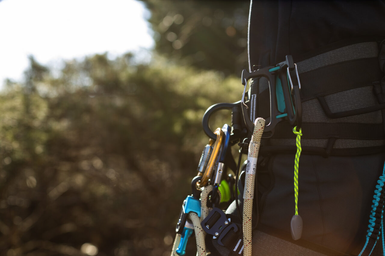 Cargo Tool Carrier - Image 9