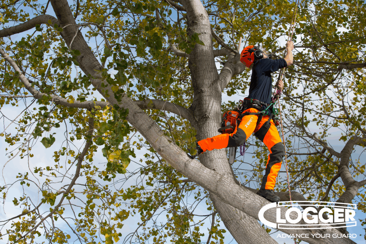 Clogger Zero Gen2 Light and Cool Men's UL Chainsaw Pants - Hi Vis Orange - Image 3
