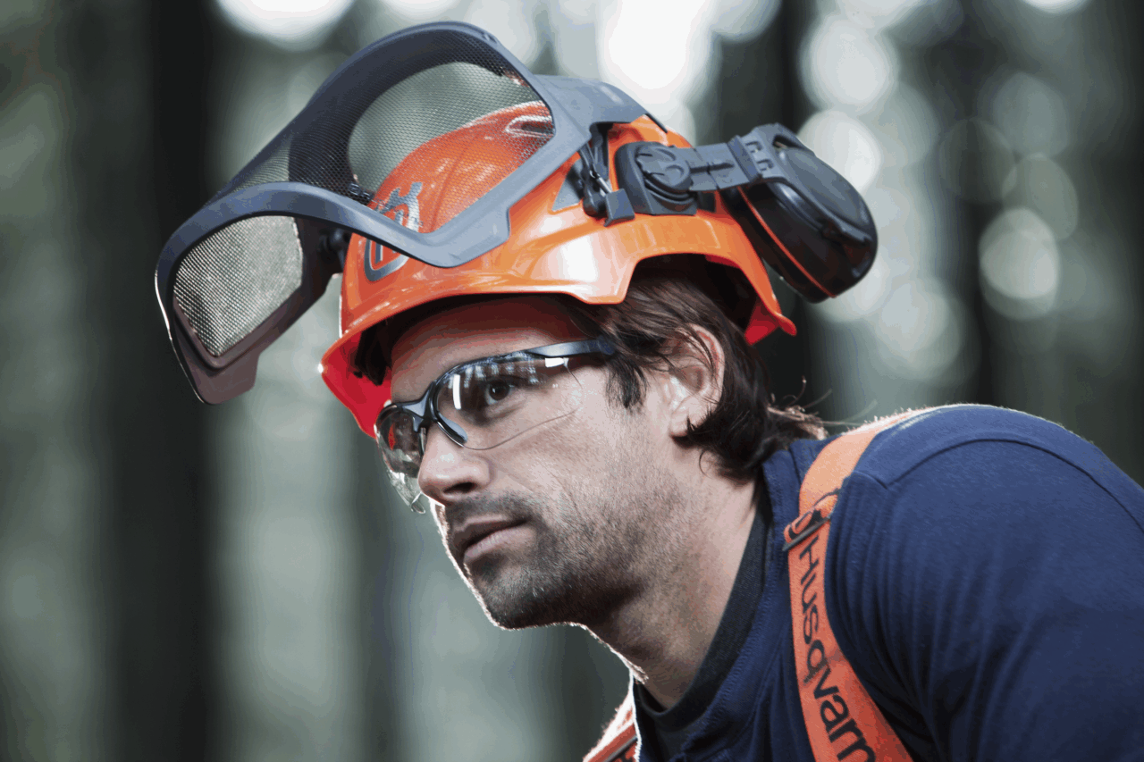 Forest Helmet, Technical - Image 5