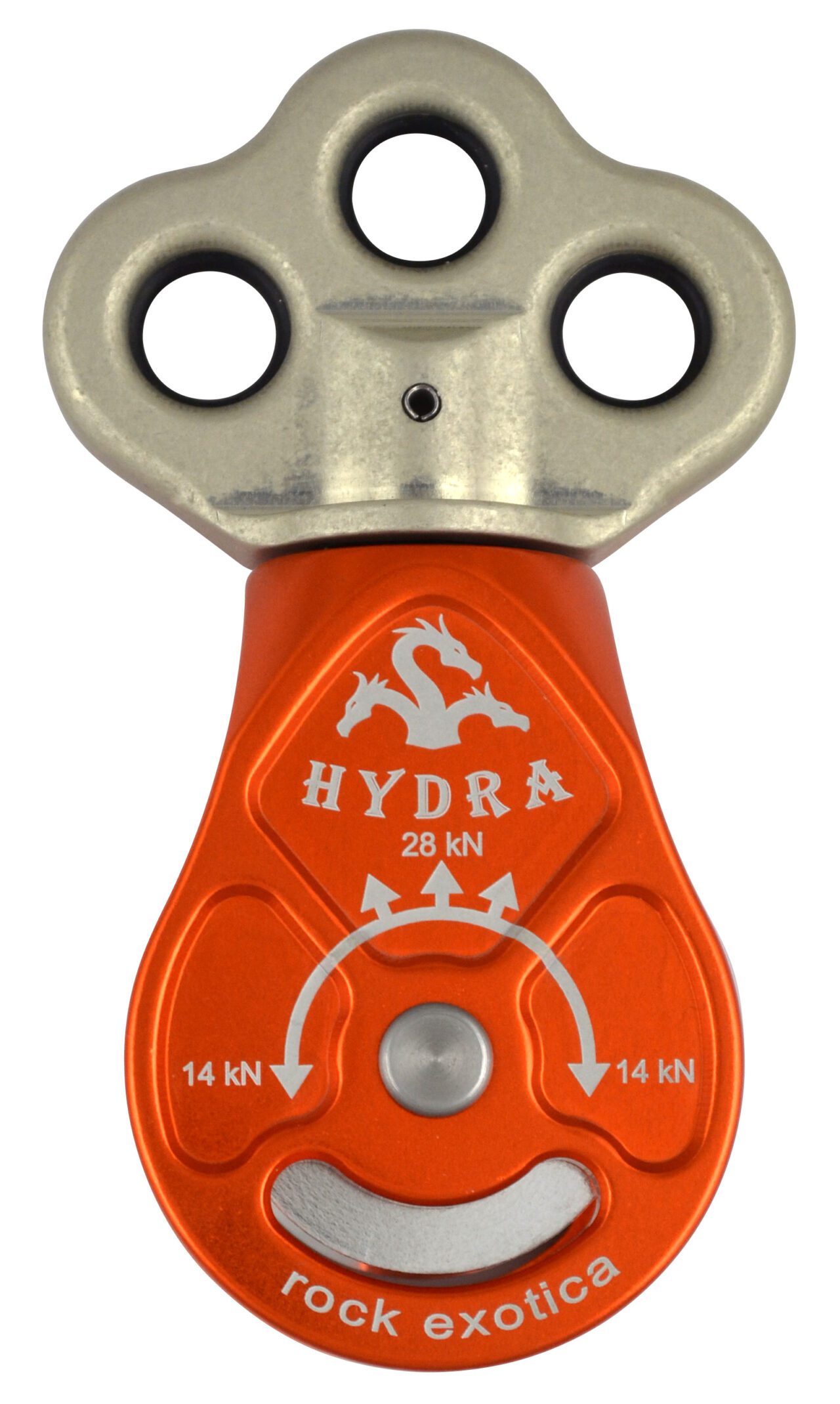 Hydra
