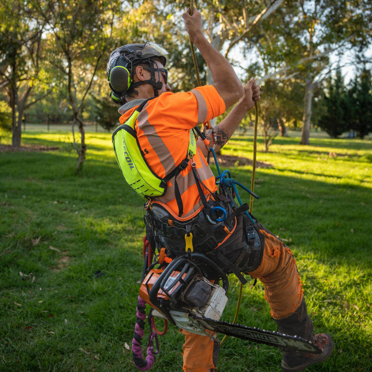 AUDAX™ Gen 2 – Arborist Hydration Harness - Image 8