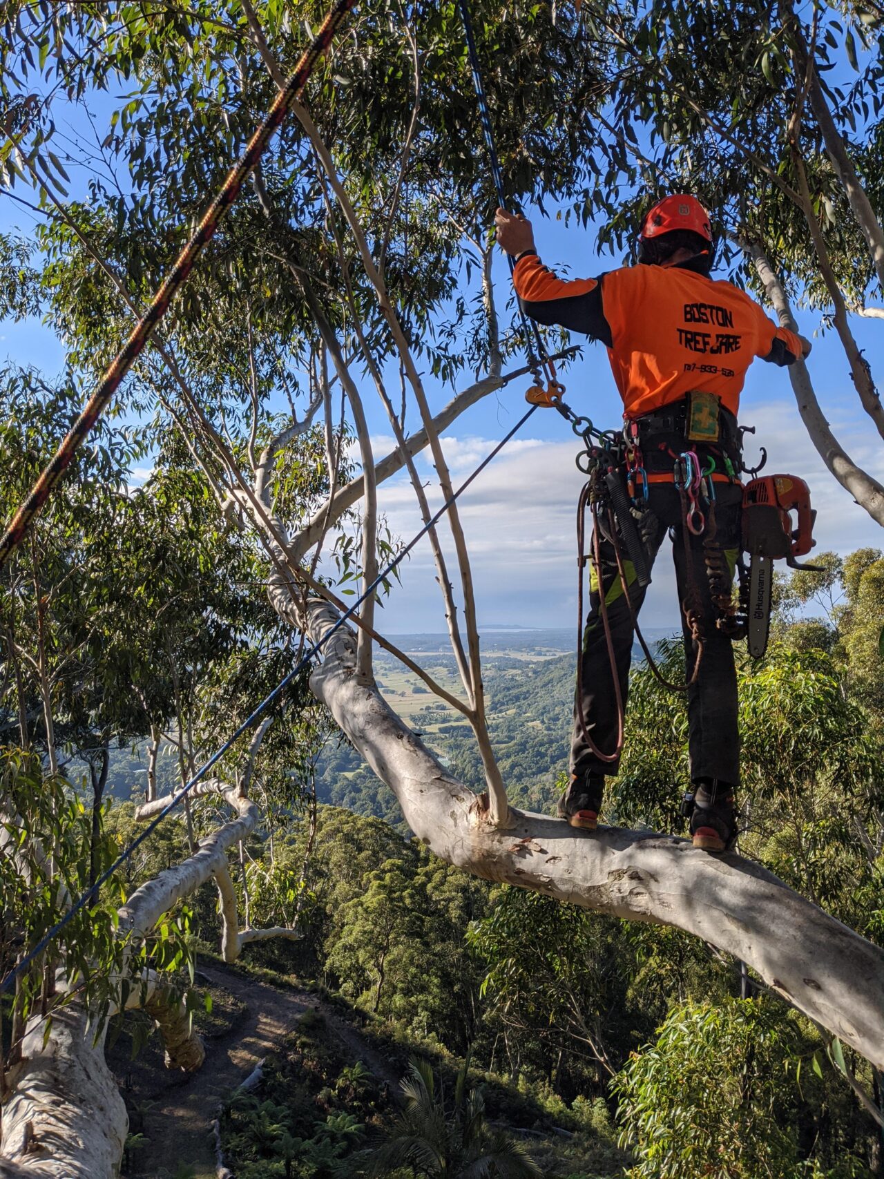 Clogger Zero Gen2 Light and Cool Men's Arborist UL Chainsaw Pants - Image 11