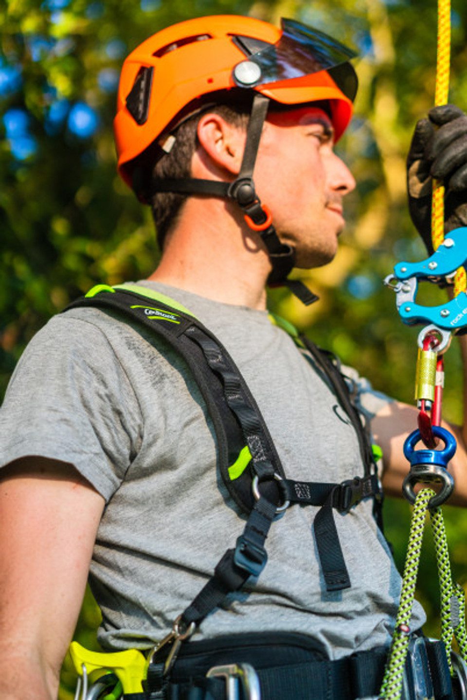 Courant Koala Chest Harness - Image 3