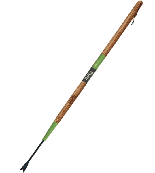 Ames Fordged Dandelion Weeder