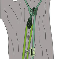 Teufelberger 2.5m pulleySAVER - Image 6