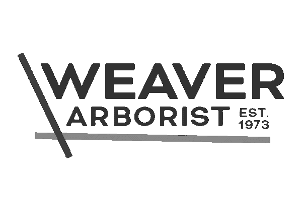 Weaver