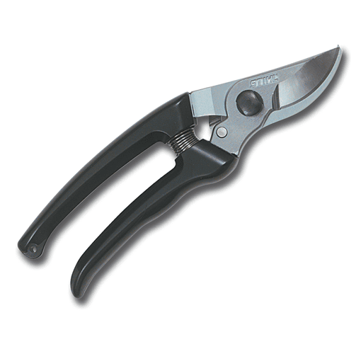 PP 30
