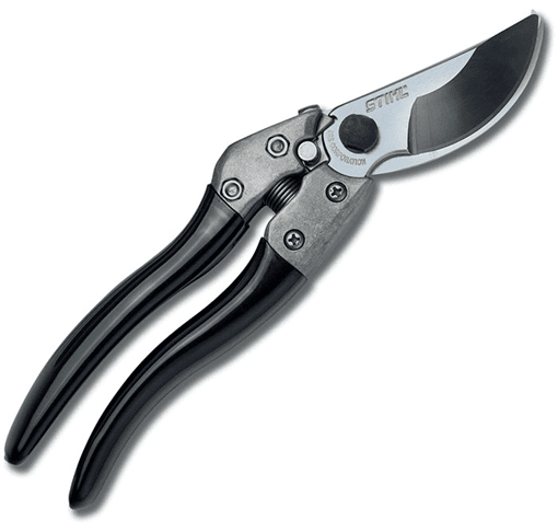 PP 80